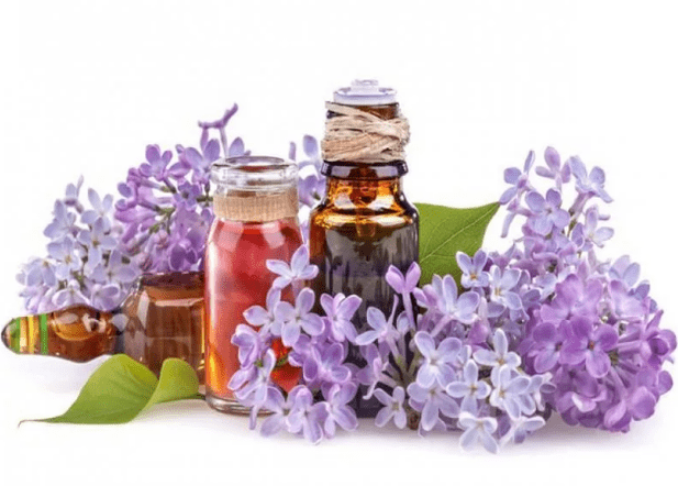 A infusión de lilas